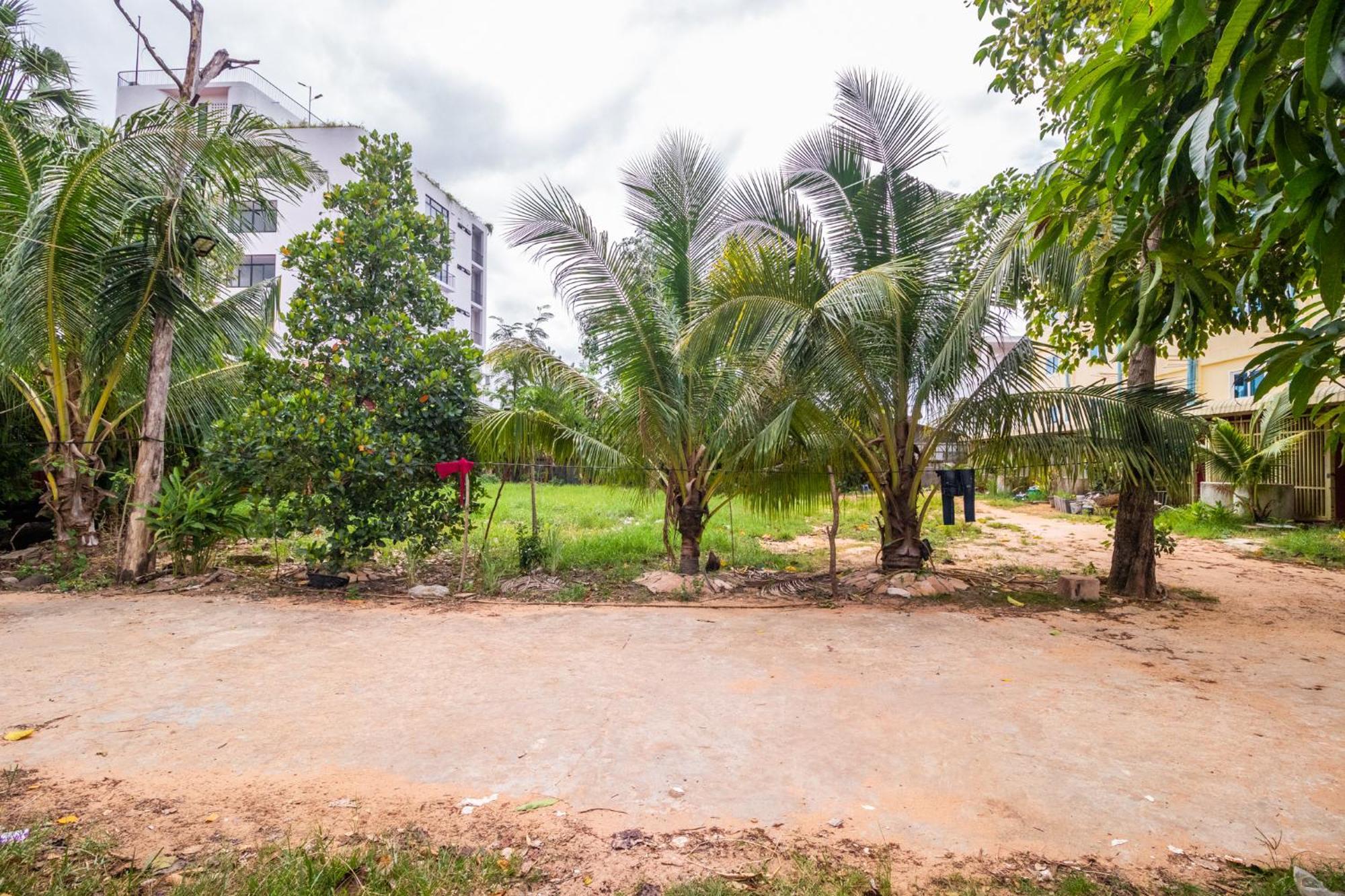 Angkor Apsara Guesthouse シェムリアップ エクステリア 写真